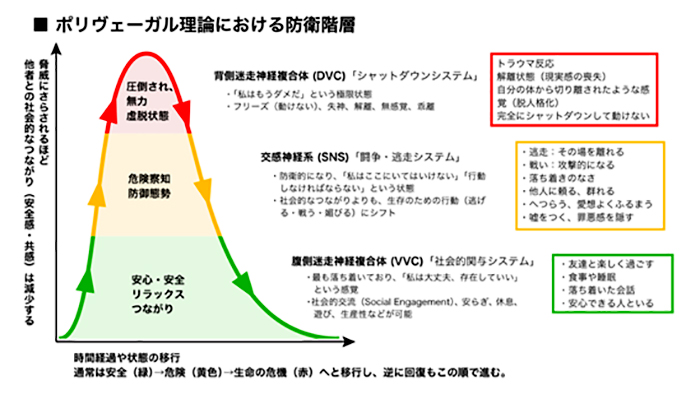 ポリヴェーガル理論における防衛階層図解